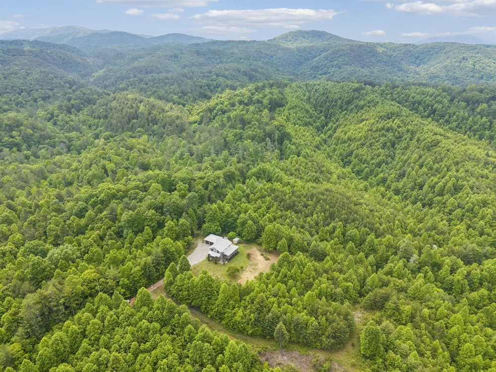 161 Willie Shell Road Reliance, TN 37369