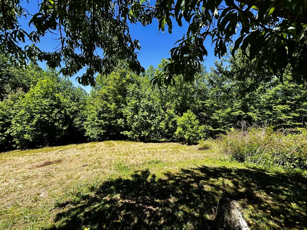 161 Willie Shell Road Reliance, TN 37369