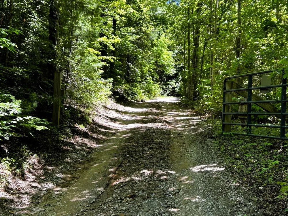 161 Willie Shell Road Reliance, TN 37369