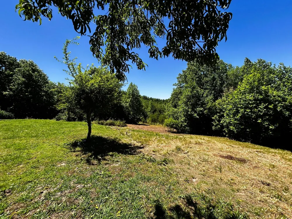 161 Willie Shell Road Reliance, TN 37369