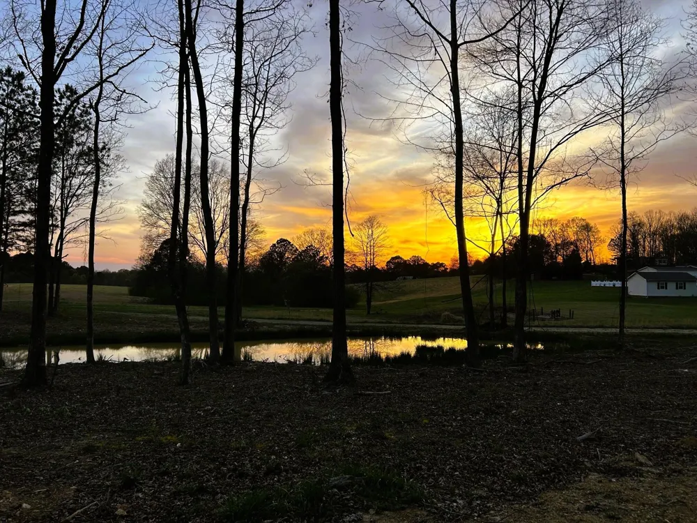 3 Lamontville Road Decatur, TN 37322