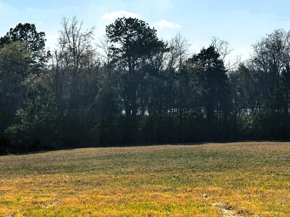 3 Lamontville Road Decatur, TN 37322