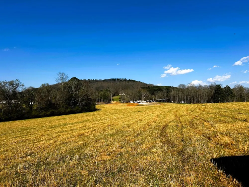 3 Lamontville Road Decatur, TN 37322