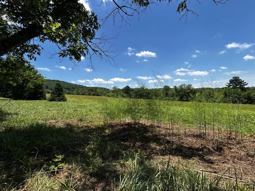 573 S Judd Road Decatur, TN 37322