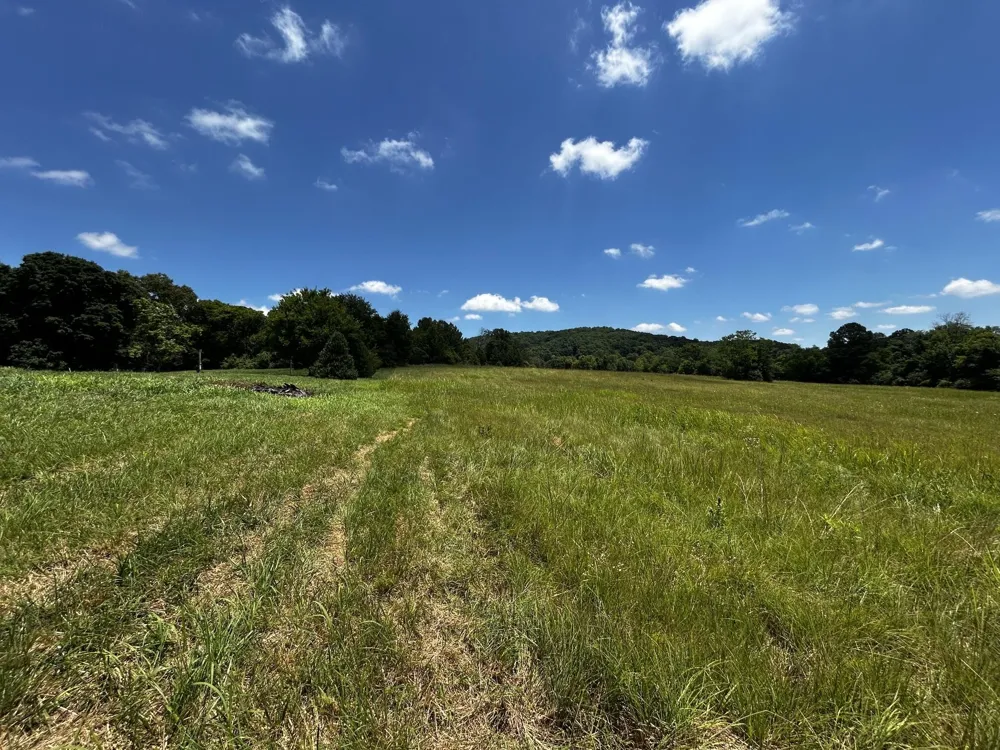573 S Judd Road Decatur, TN 37322