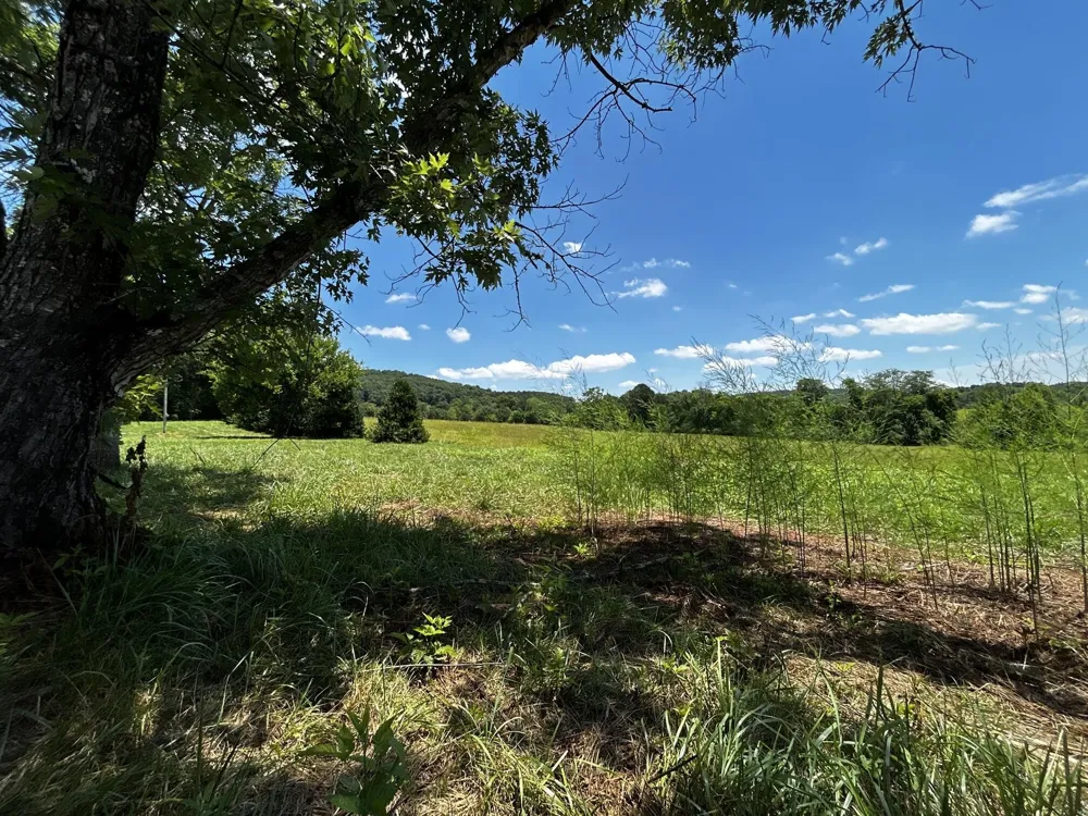 573 S Judd Road Decatur, TN 37322