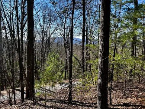 107125 Chestnut Mountain Road