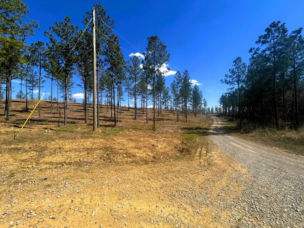 26 Hughes Lake Road Se Cleveland, TN 37323