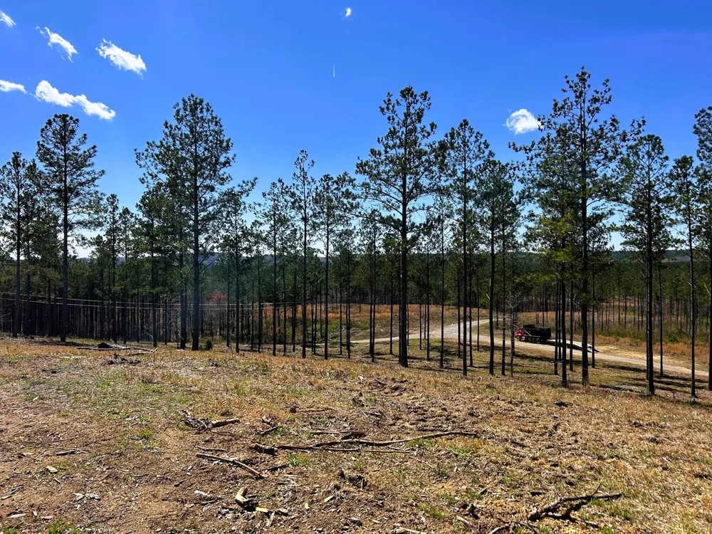 26 Hughes Lake Road Se Cleveland, TN 37323