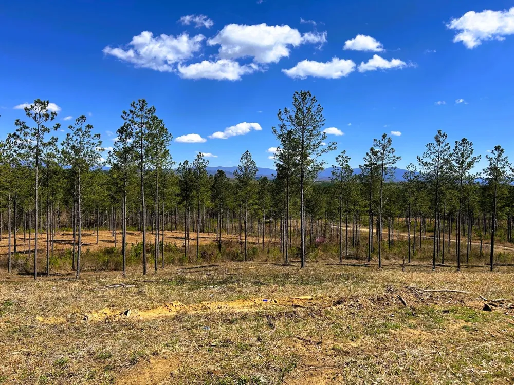 26 Hughes Lake Road Se Cleveland, TN 37323