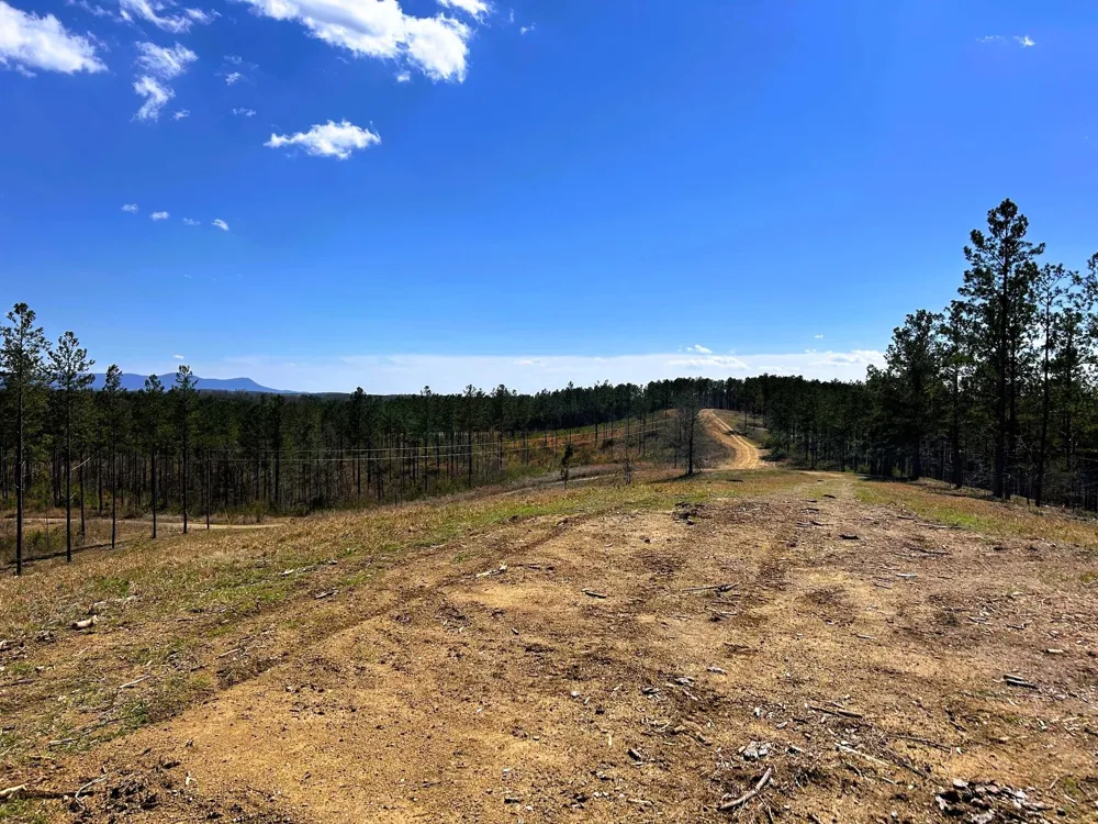 26 Hughes Lake Road Se Cleveland, TN 37323