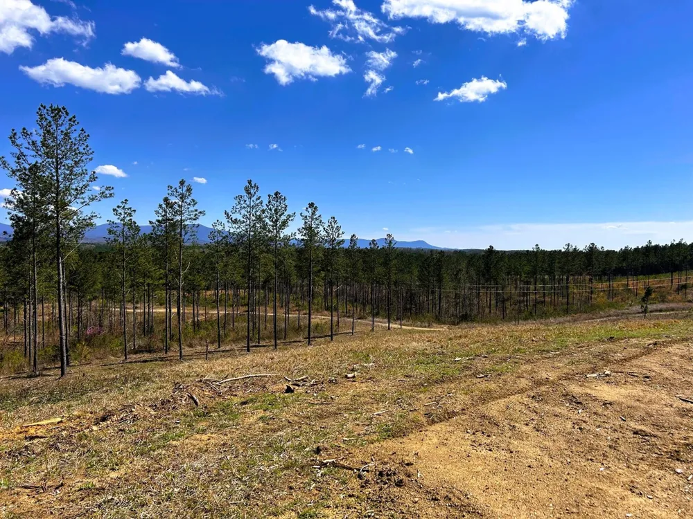 26 Hughes Lake Road Se Cleveland, TN 37323