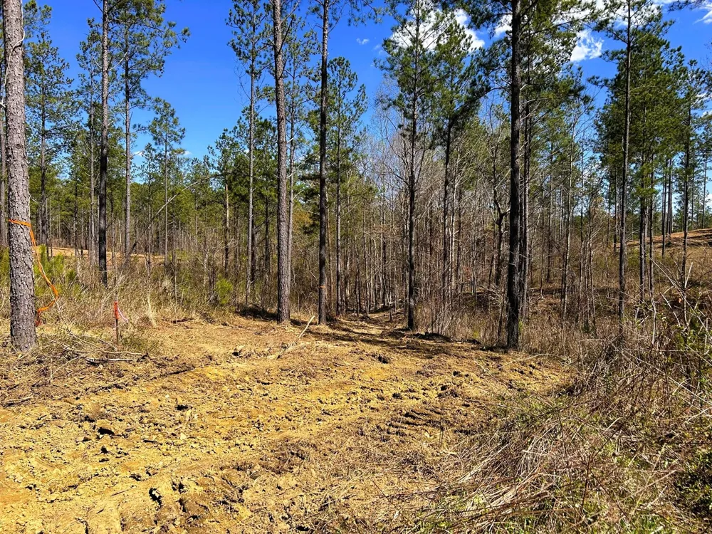 26 Hughes Lake Road Se Cleveland, TN 37323