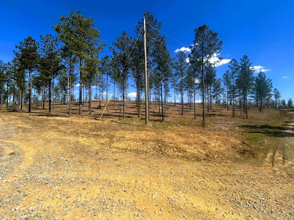 26 Hughes Lake Road Se Cleveland, TN 37323