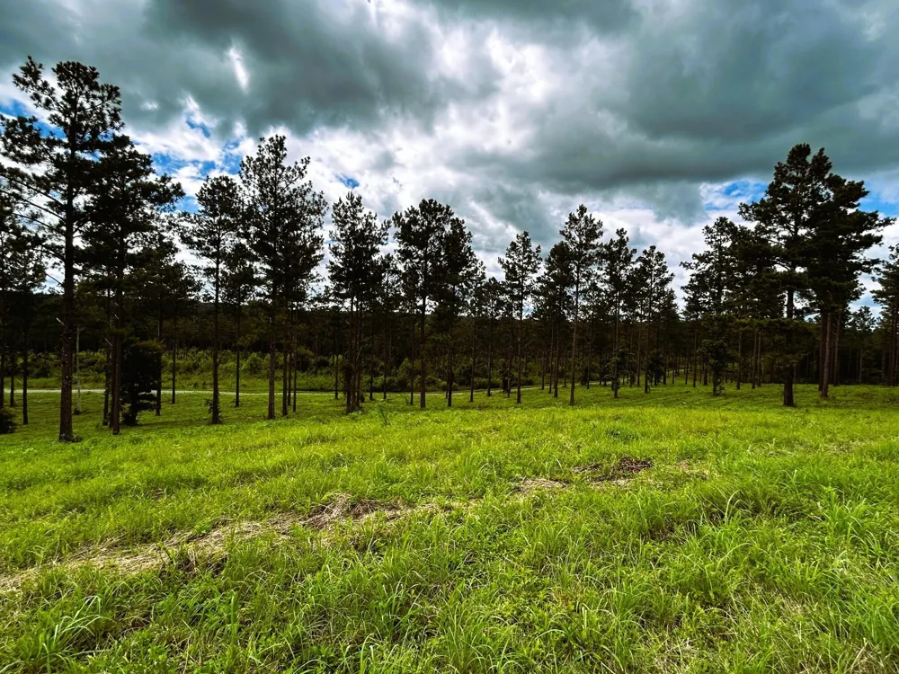 26 Hughes Lake Road Se Cleveland, TN 37323