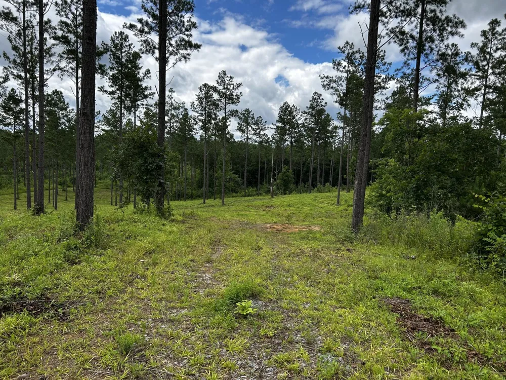 26 Hughes Lake Road Se Cleveland, TN 37323