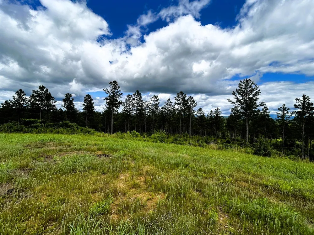 26 Hughes Lake Road Se Cleveland, TN 37323