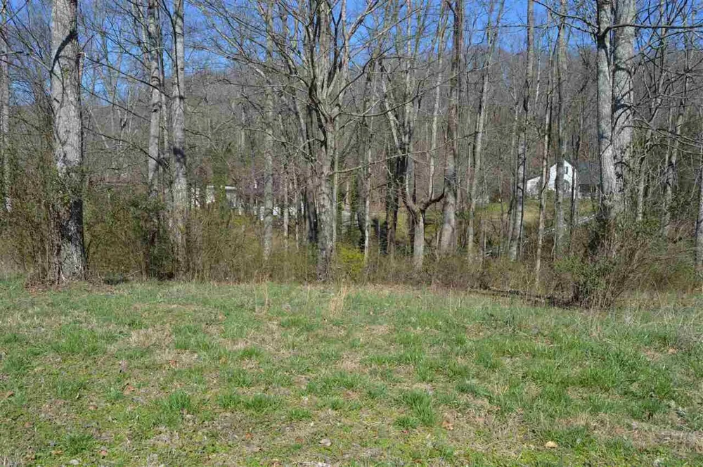 12 County Road 321 Niota, TN 37826