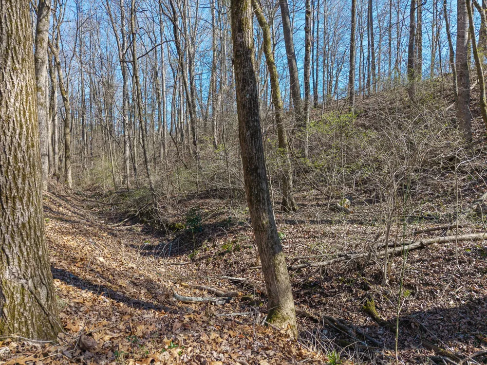 12 County Road 321 Niota, TN 37826