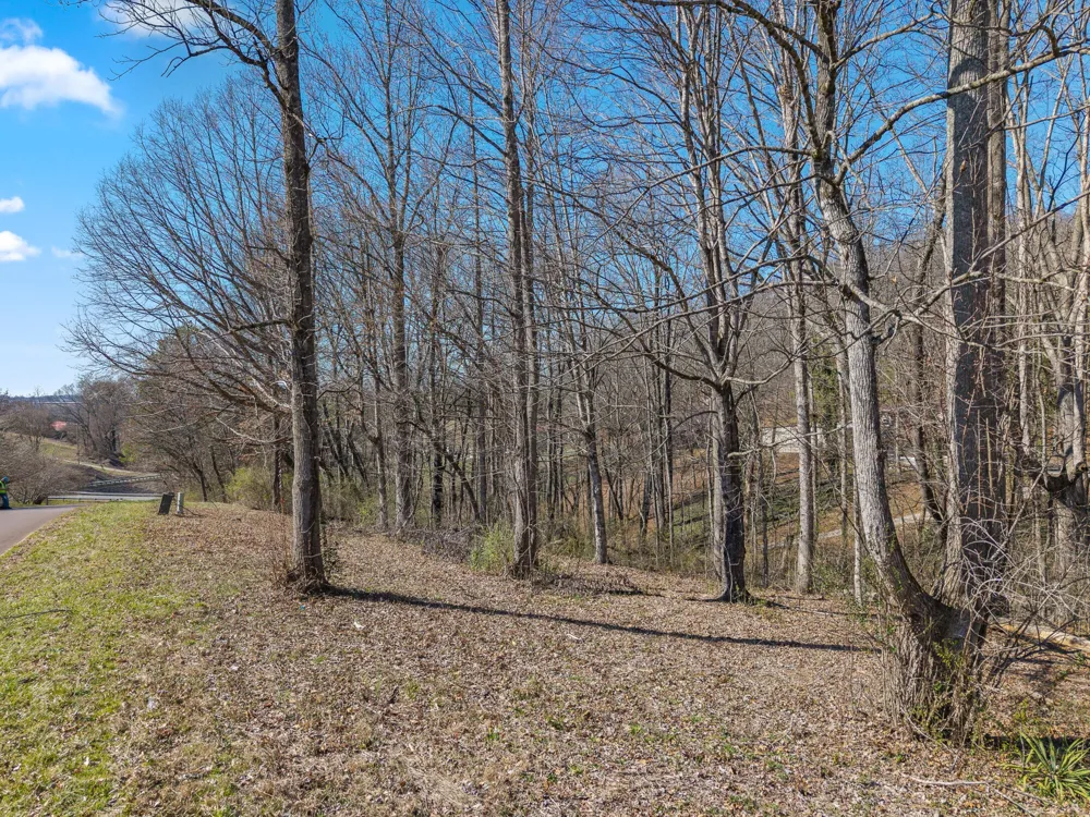 12 County Road 321 Niota, TN 37826