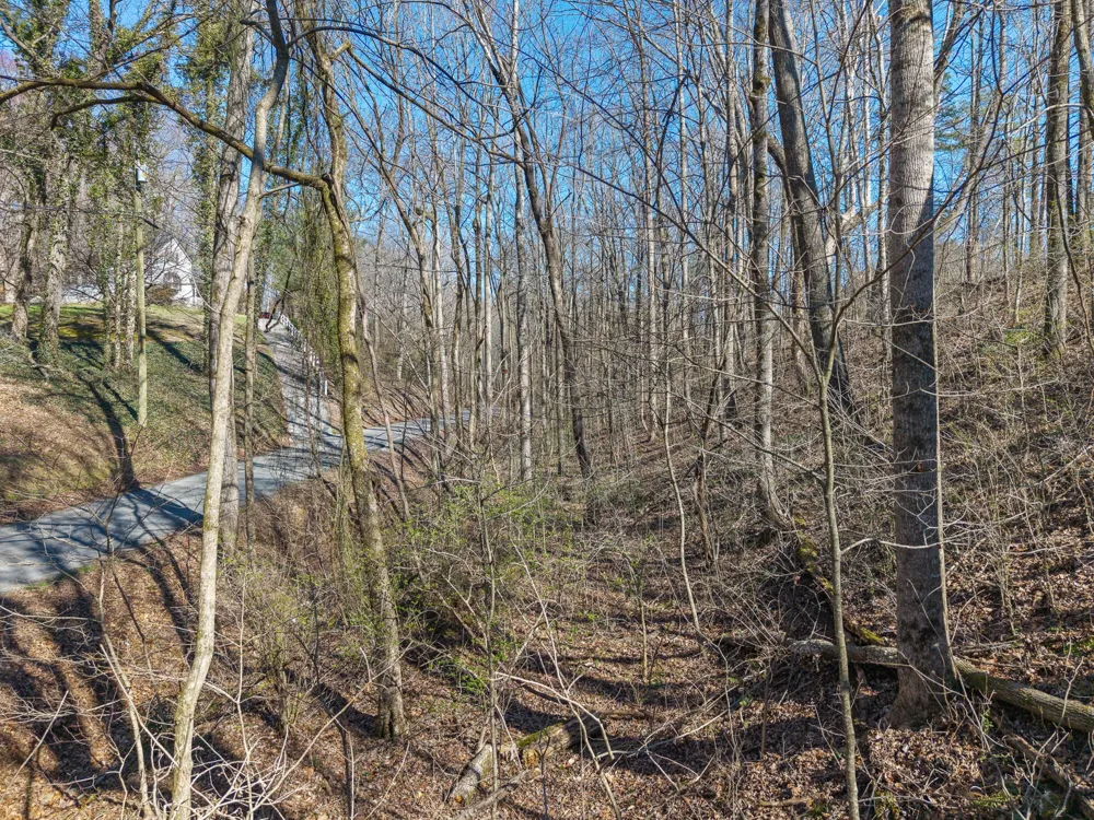 12 County Road 321 Niota, TN 37826