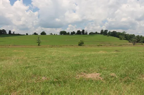 4 County Road 461