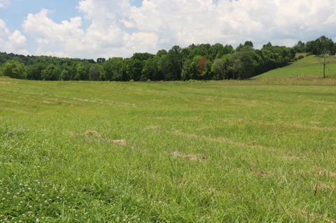 5 County Road 461