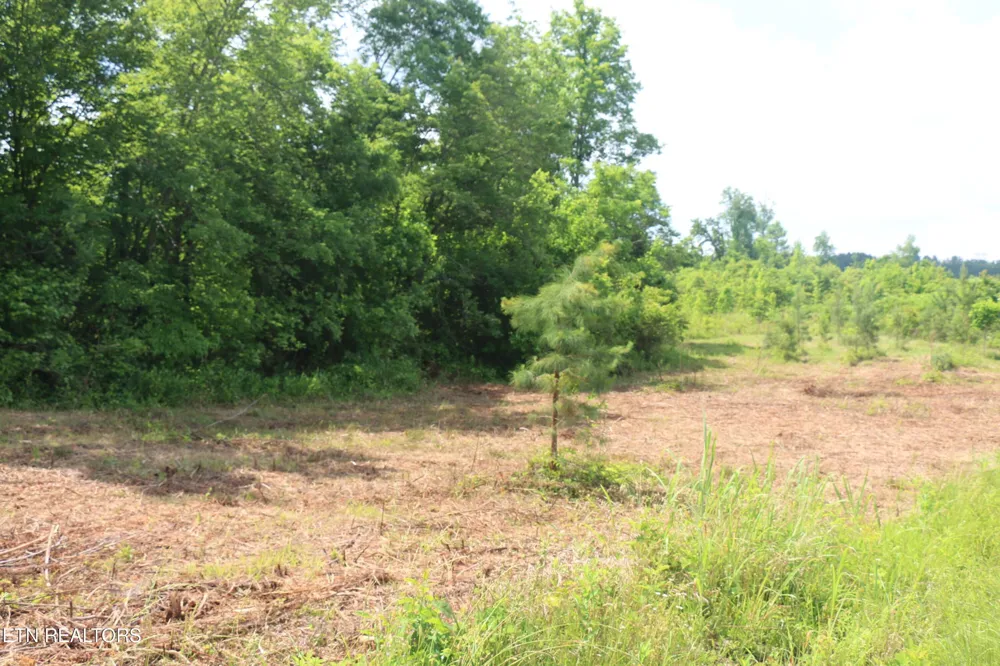 1 N Nopone Valley Rd Decatur, TN 37322