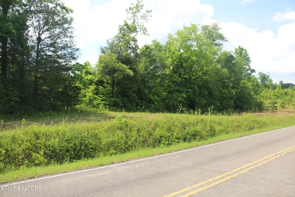 1 N Nopone Valley Rd Decatur, TN 37322