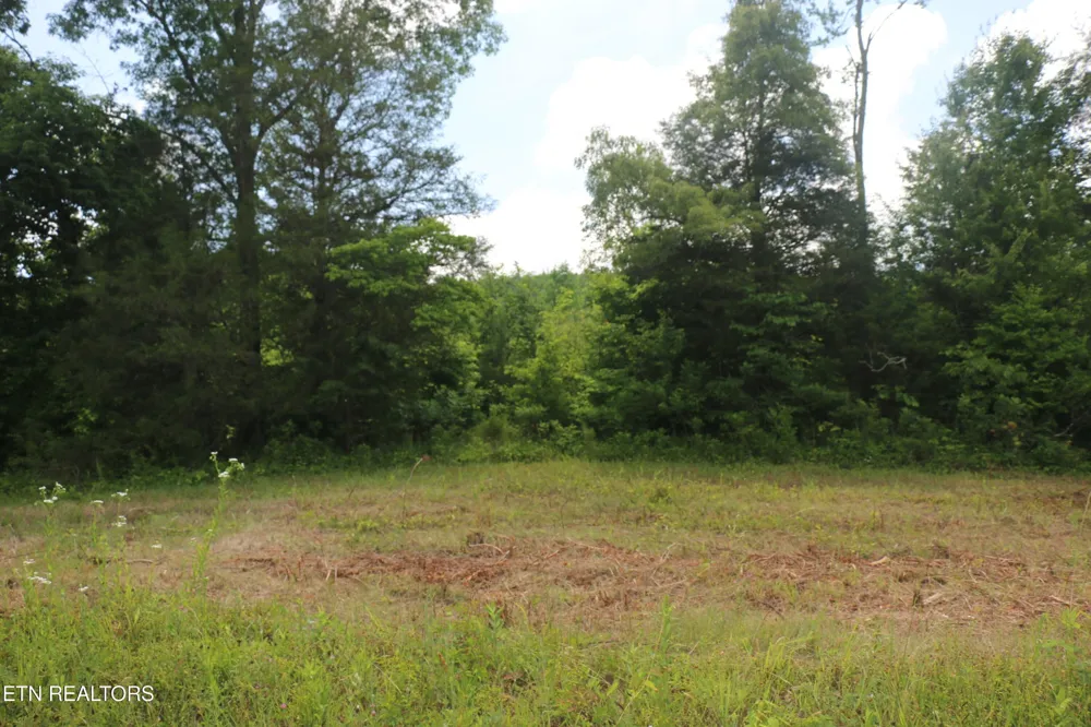 1 N Nopone Valley Rd Decatur, TN 37322