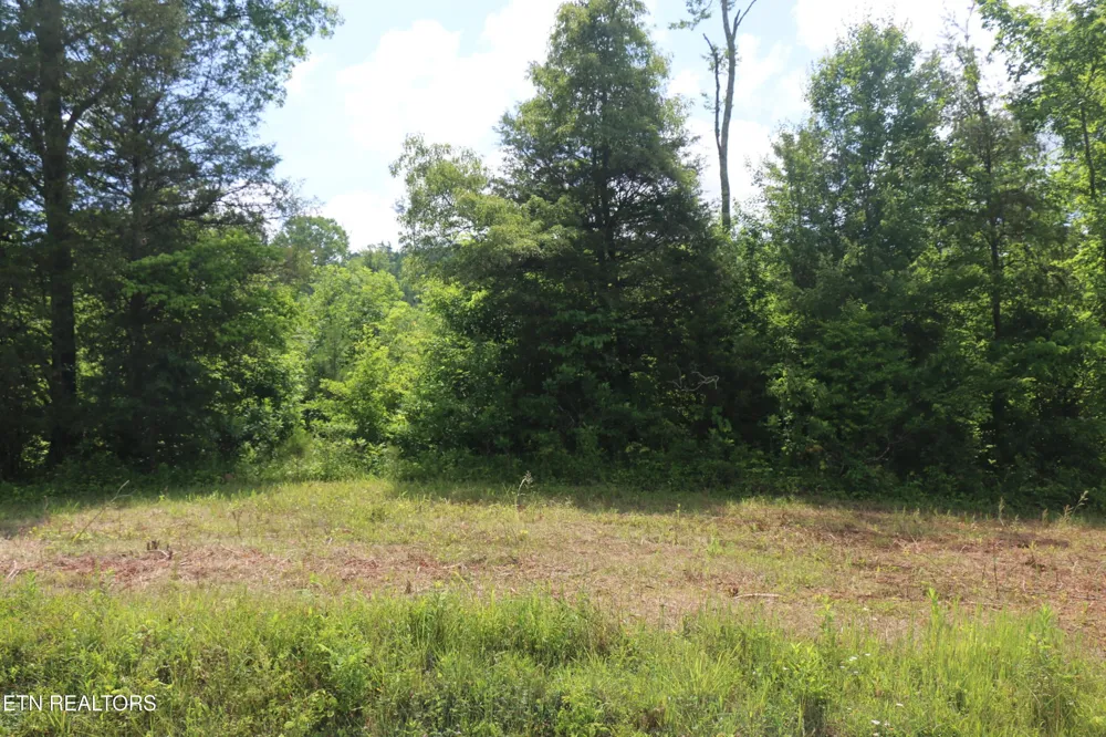 1 N Nopone Valley Rd Decatur, TN 37322