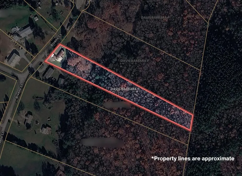 160 Bivens Court Niota, TN 37826