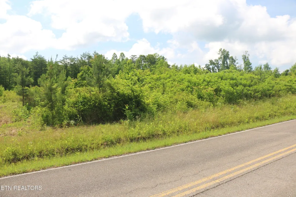 2 N Nopone Valley Rd Decatur, TN 37322