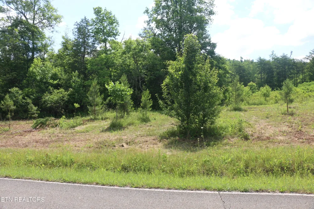2 N Nopone Valley Rd Decatur, TN 37322