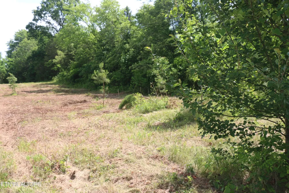 2 N Nopone Valley Rd Decatur, TN 37322