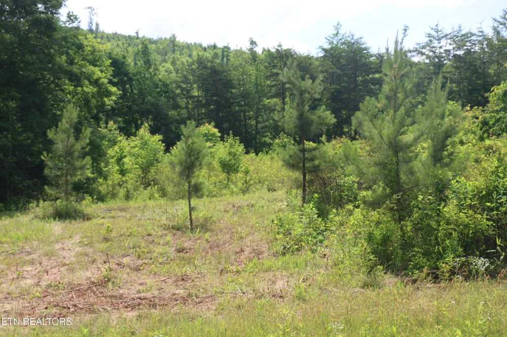 2 N Nopone Valley Rd Decatur, TN 37322