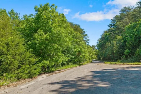 0 Elm Lot 19 Lane