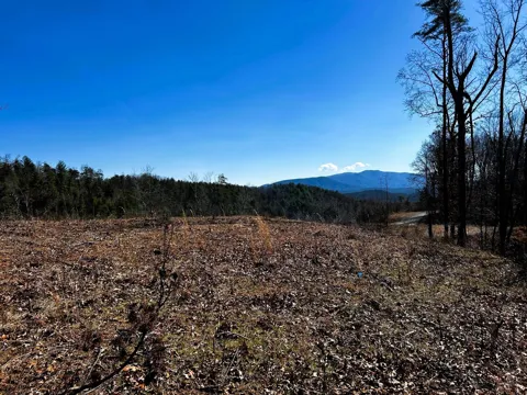 107125 Chestnut Mountain Road
