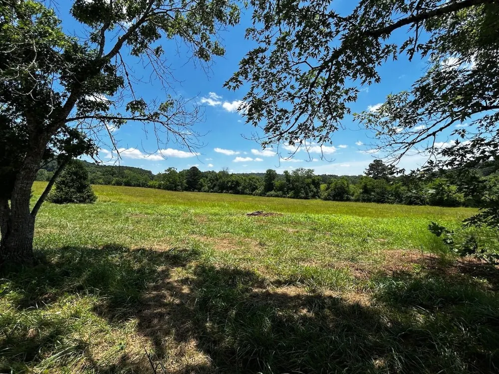 573 S Judd Road Decatur, TN 37322