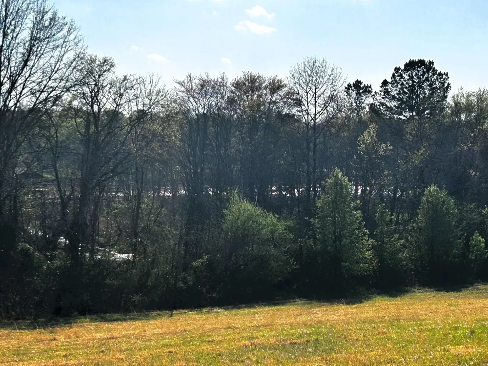 3 Lamontville Road Decatur, TN 37322