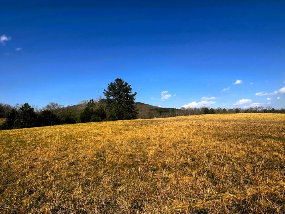 3 Lamontville Road Decatur, TN 37322
