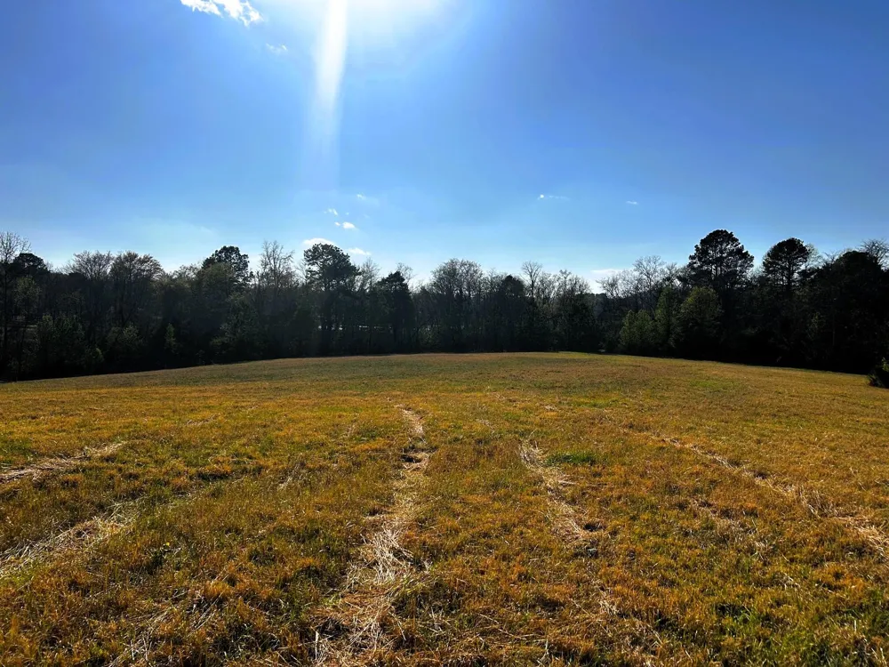 3 Lamontville Road Decatur, TN 37322