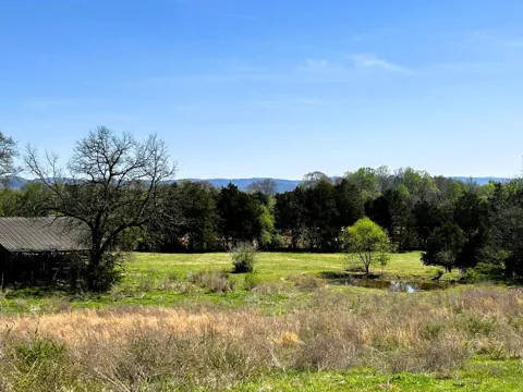 175 County Road 571