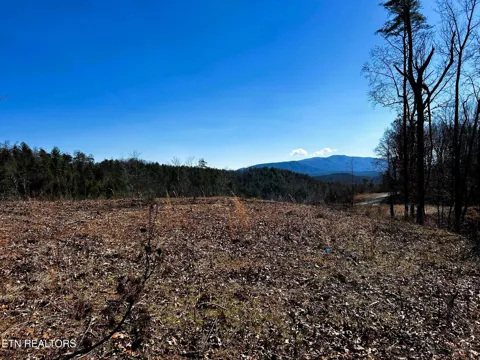 107125 Chestnut Mountain Rd