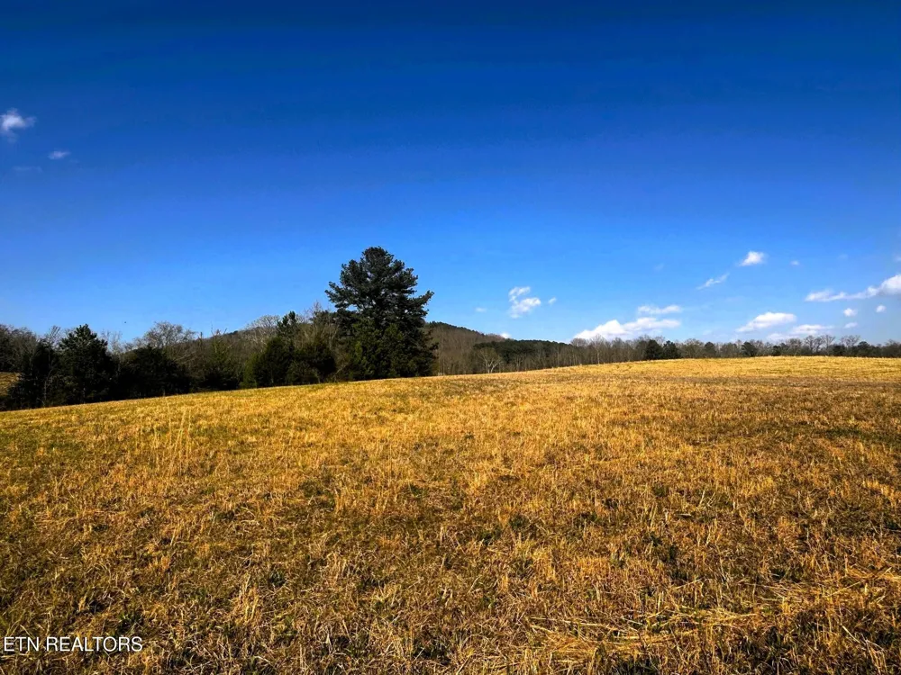 3 Lamontville Rd Decatur, TN 37322