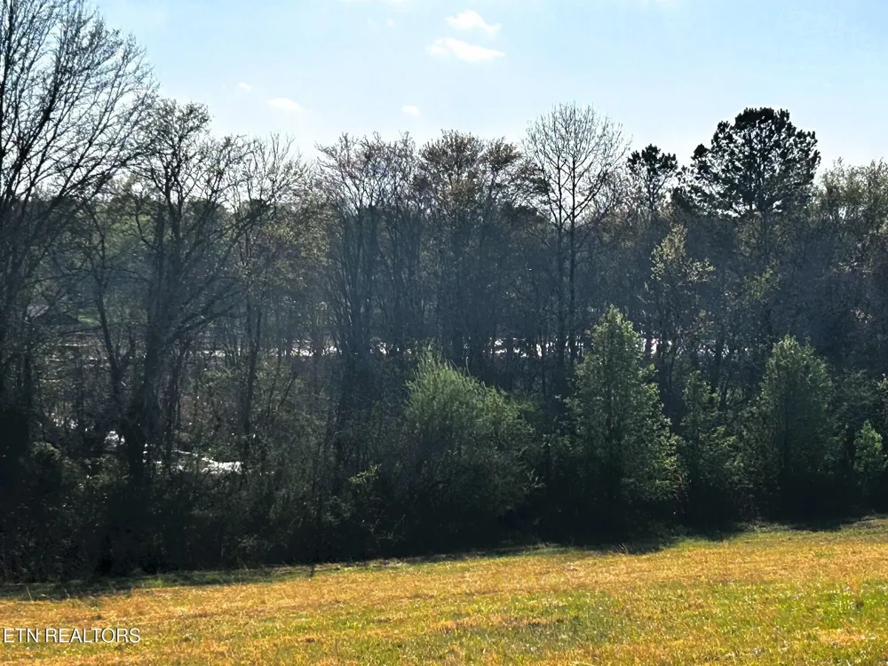 3 Lamontville Rd Decatur, TN 37322