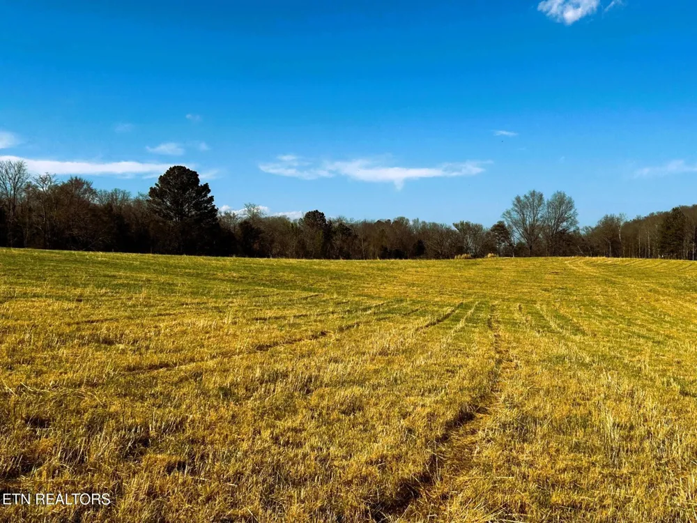 3 Lamontville Rd Decatur, TN 37322