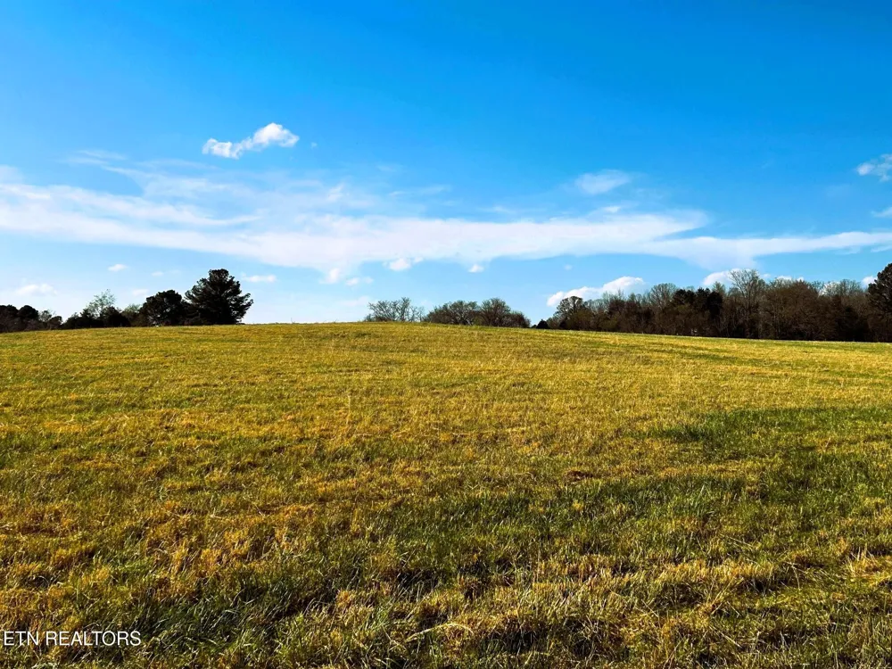 3 Lamontville Rd Decatur, TN 37322