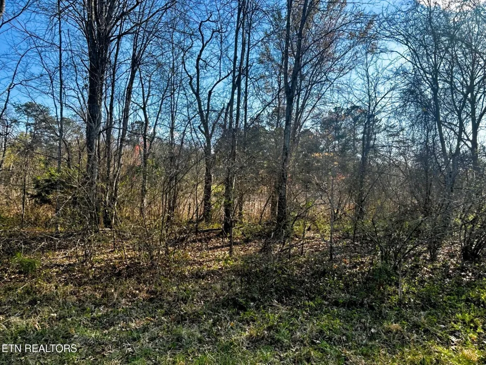 3 Lamontville Rd Decatur, TN 37322
