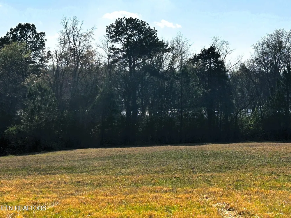 3 Lamontville Rd Decatur, TN 37322